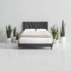 Serene Curve Upholstered Bed Serene Curve Upholstered Bed